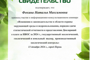 otchetnost 2024_Focina